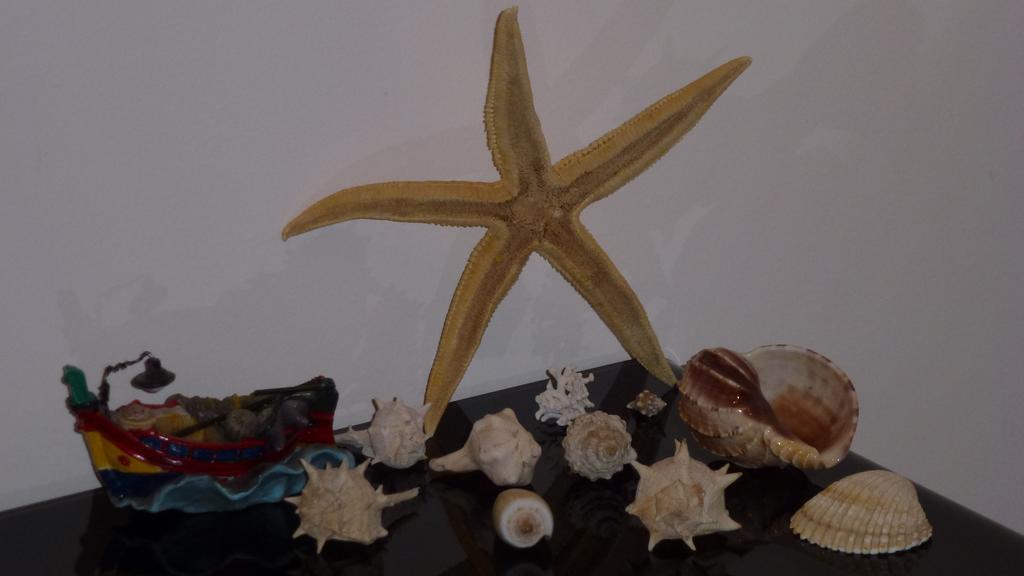 Appartamento Sea Star Cefalù Camera foto